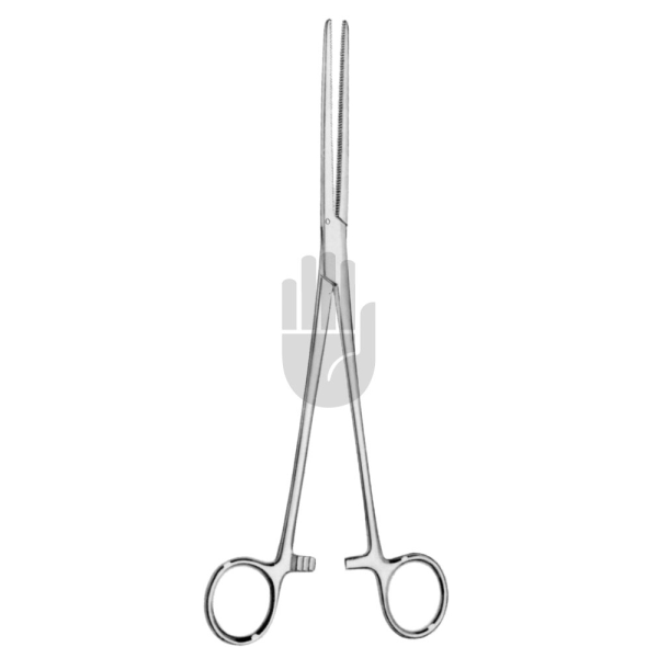 Βελονοκατοχο Sarot Ευθυ 24cm 9 1/2