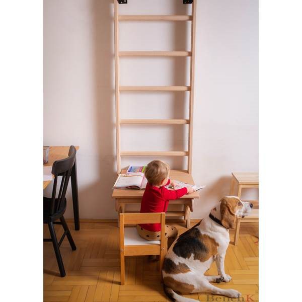 Γραφειο Benchtop για την Σειρα Πολυζυγων BenchK 110 BT204 Γραφειο Benchtop για την Σειρα Πολυζυγων BenchK 110 BT204