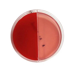 Θρεπτικo υλικo Blood Agar – Mac Conkney Agar 10 x 90mm ετοιμο προς χρηση σε Τρυβλιο 10Τεμ.