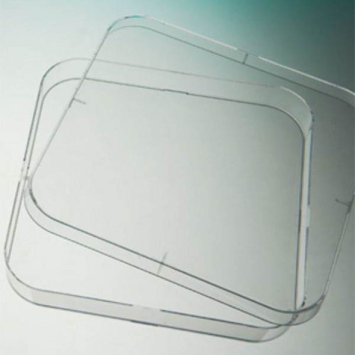 Τριβλια Petri αποστειρωμενα πλαστικα τετραγωνα 120X120mm X H15 8mm με καπακι και 4 αεραγωγους 14 τεμ